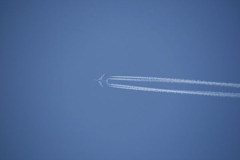 飛行機