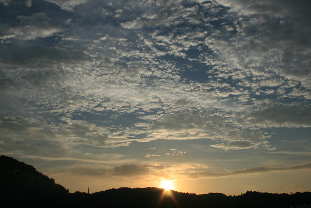 kumo