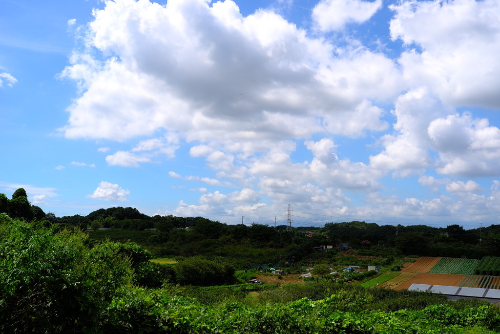 バス停からの景色２