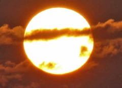 太陽