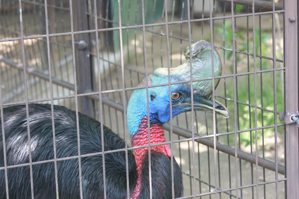 とべ動物園