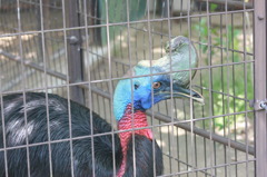 とべ動物園