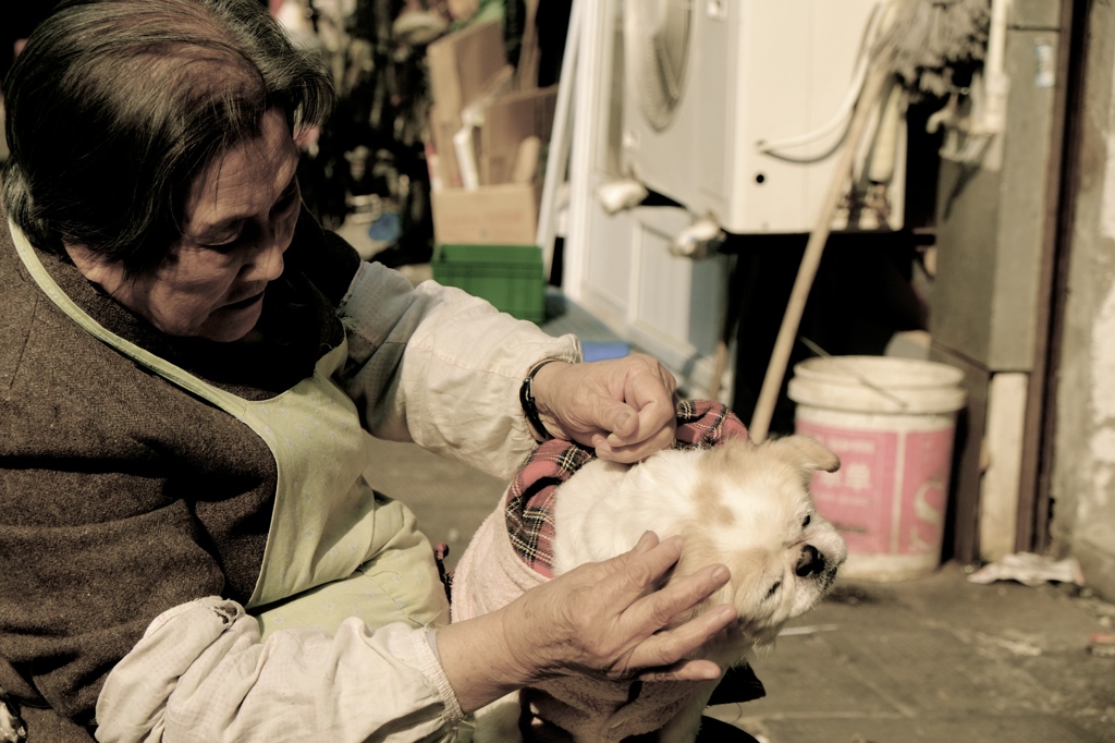 おばあちゃんと犬