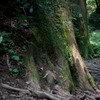 高尾山−３
