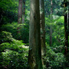 高尾山−２