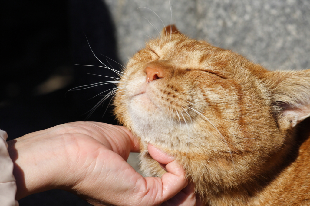 至福の時ぢゃ