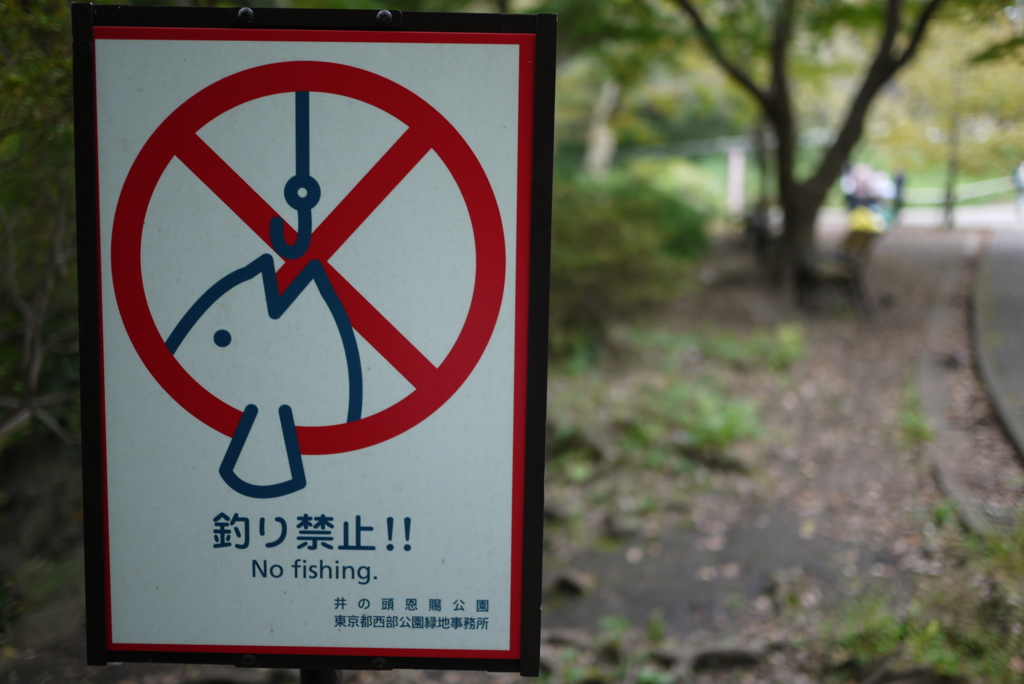 No Fishing