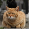 オレ達何か期待していいのかな
