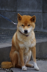 いらっしゃい～