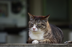 何から話そうか・・