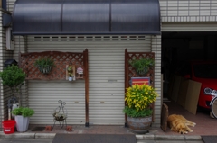 シャッター閉めてボクもお休み