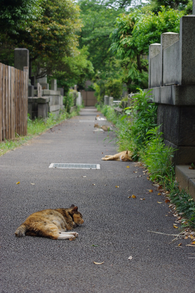 もうすぐメシや