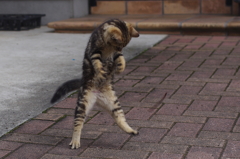 Two feet on the ground