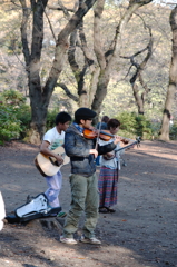 公園ミュージシャン