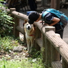お話しよう♪