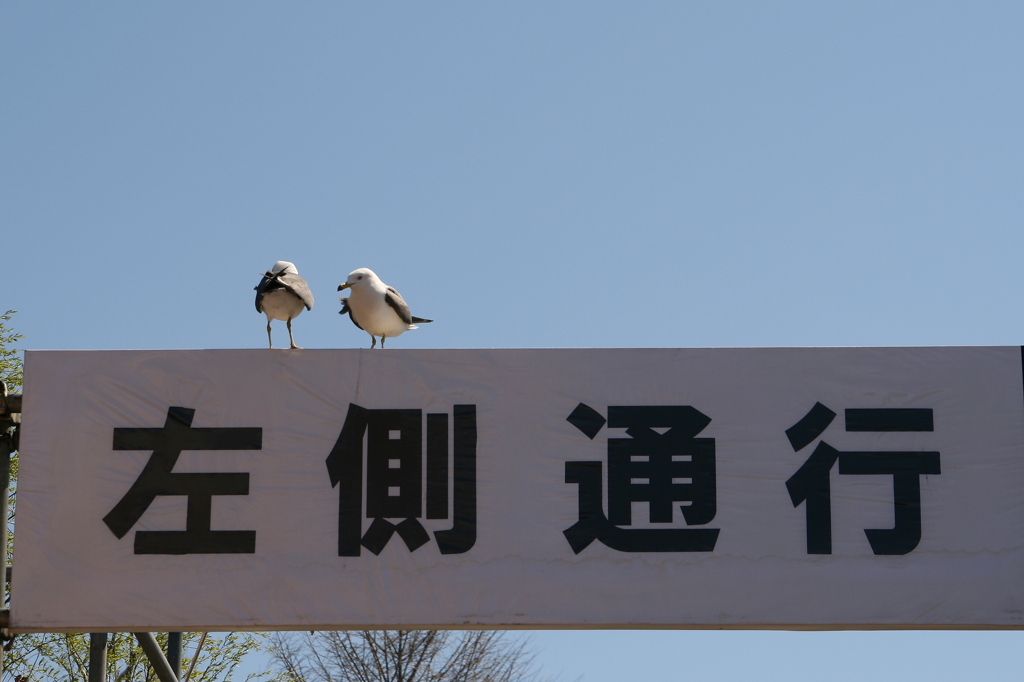 おい、そっち寄れや