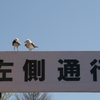 おい、そっち寄れや