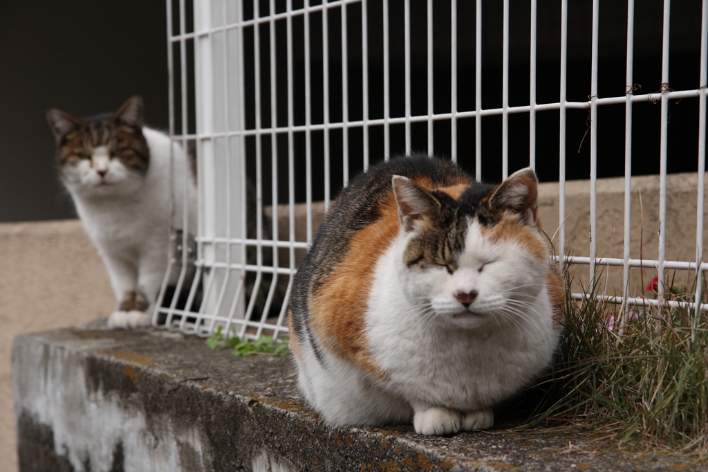 タケシや、いつまで拗ねてるんだい？