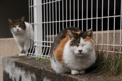 タケシや、いつまで拗ねてるんだい？