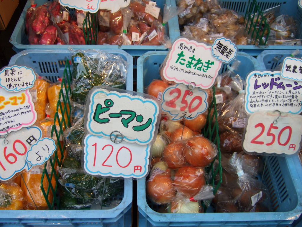 野菜沢山