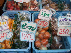 野菜沢山