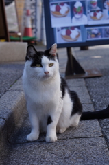 アンタは知らん