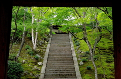 常寂光寺の階段