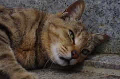 何想う