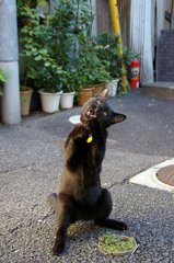 叫び〜！