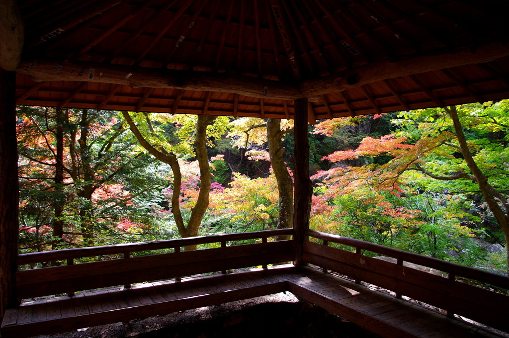 そうだ、京都行こう（って山梨）