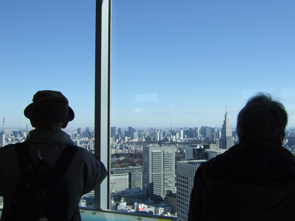 ある晴れた日、都庁より眺む