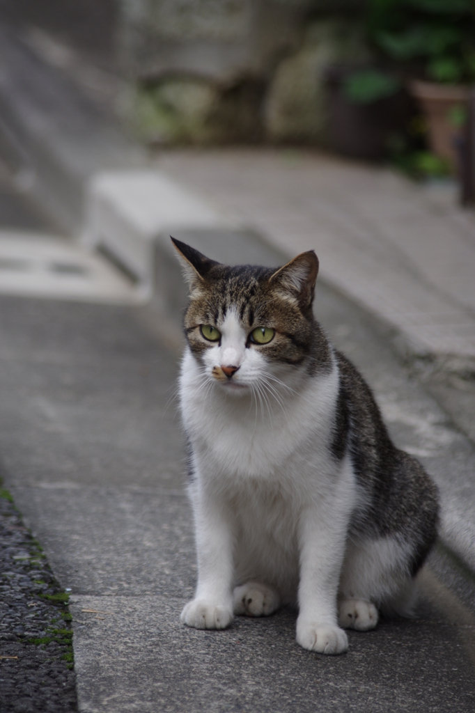 お嬢ちゃん、ちょっと訝しげ