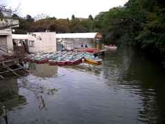 井の頭公園池