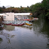 井の頭公園池