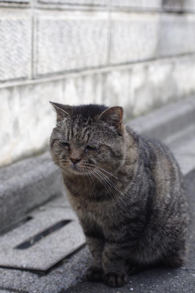 今日も壁際にてまったり