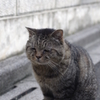 今日も壁際にてまったり