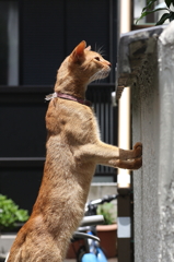 私、体張ってます！