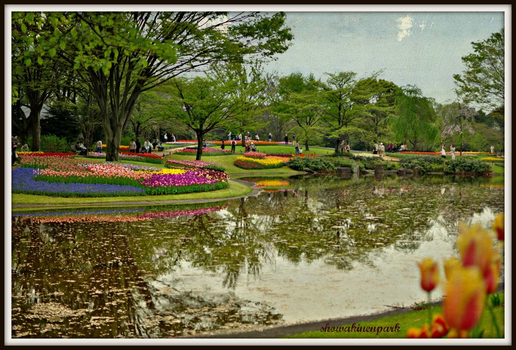 春の昭和記念公園