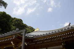 いいお天気