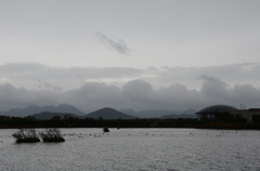 雨の公園