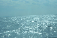光る海