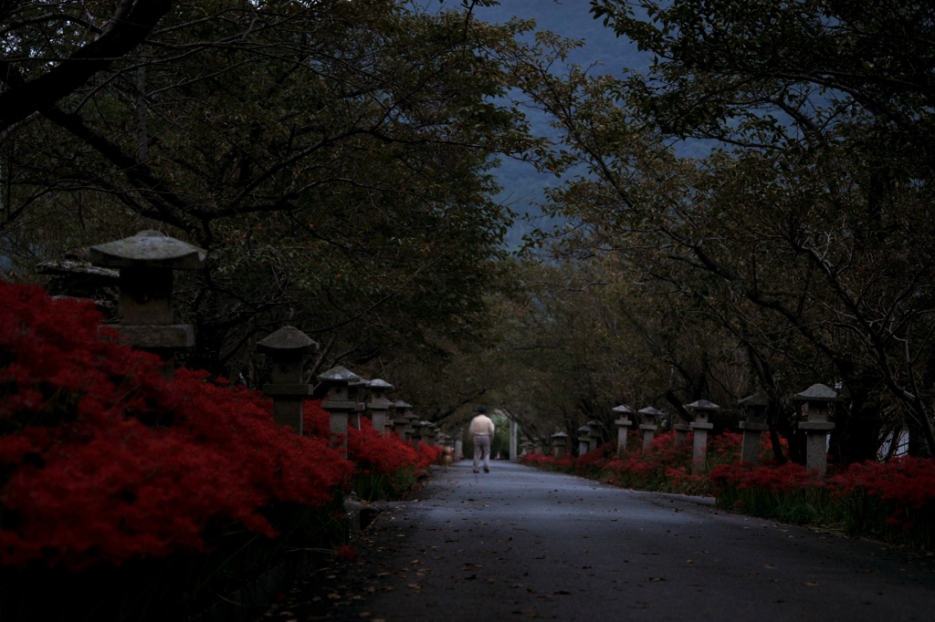 いつまでも・・・