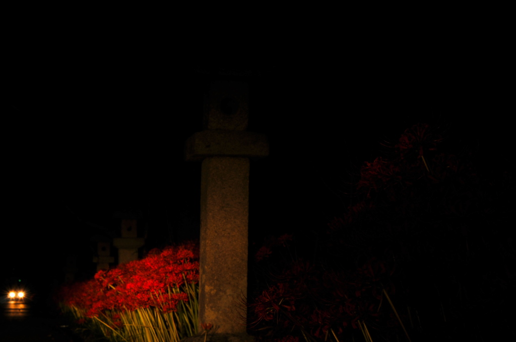 紅い疑惑
