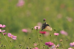 だ～れだ？