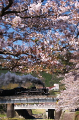 春を駆ける２