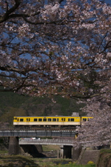 春を駆ける１