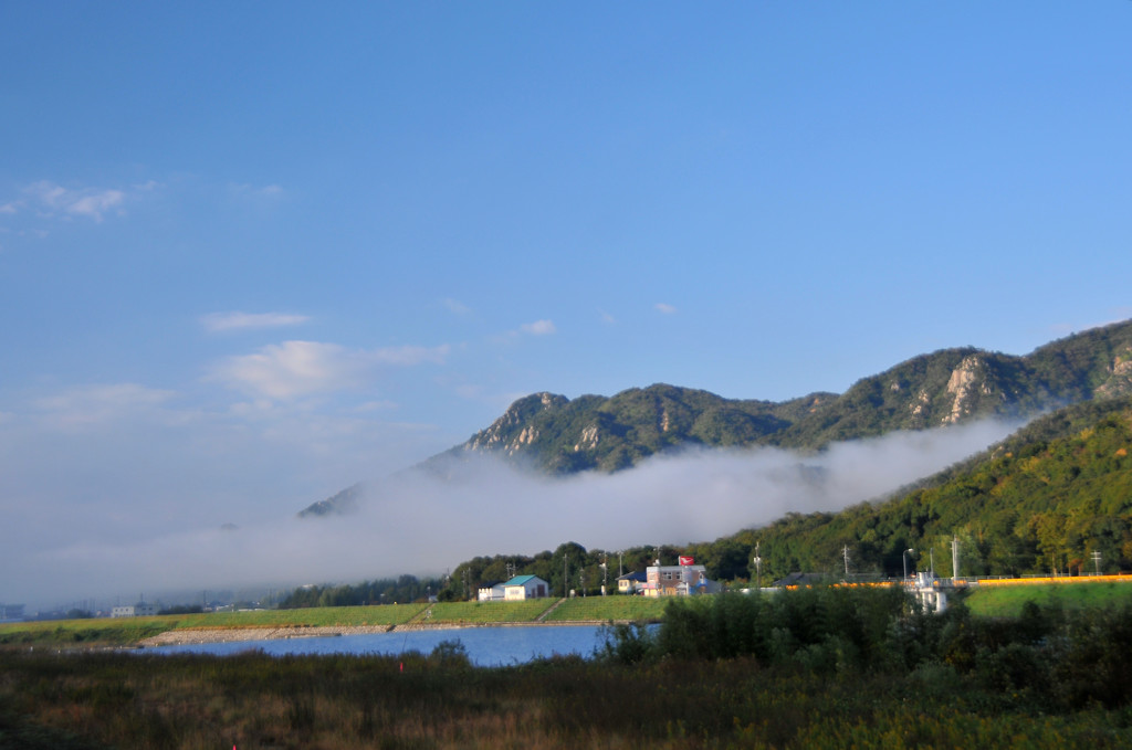 佐波川の川霧
