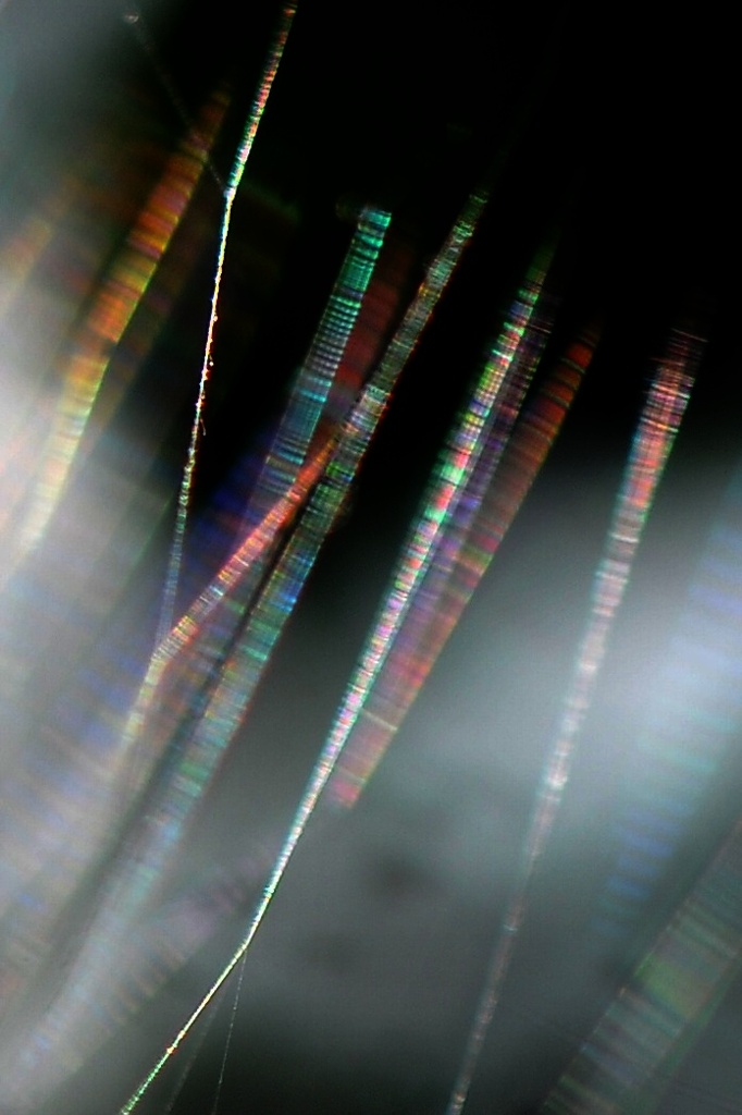 木漏れ日の線香花火