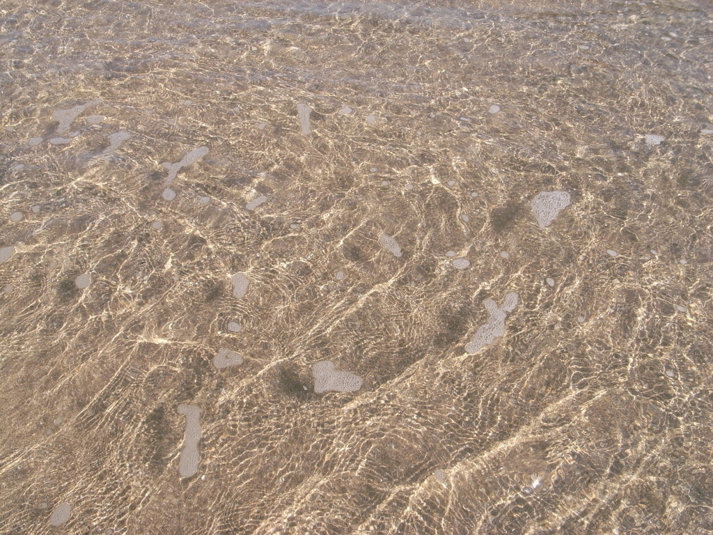 海水。
