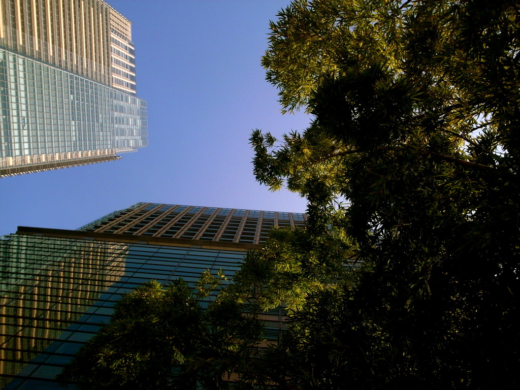 頭上のビルと隙間。